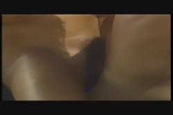 'Kiss my Grits' screenshot nº 22