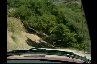 Hillbilly Honeys (French) - Scena1 - 2