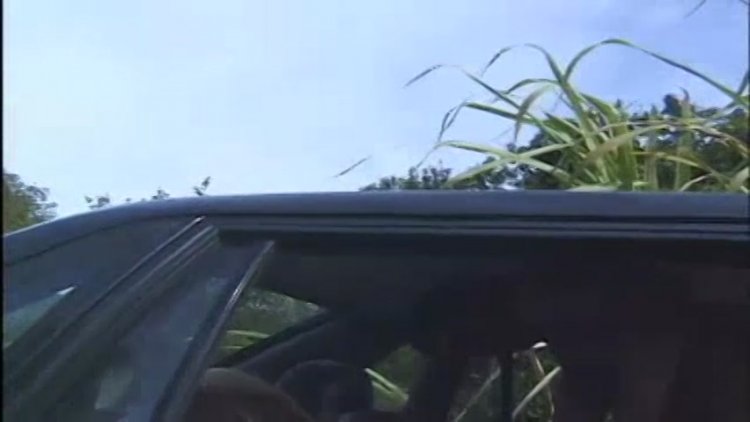 streaming porn video screenshot