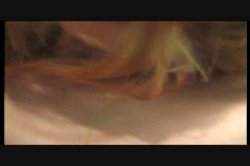 Captura de 'Dirty Debutantes 79' nº 96