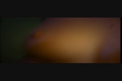 Captura de 'Fuck VIP - Cockaine' nº 16