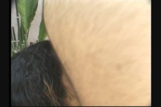 Hairy Honies 2 - Escena2 - 3