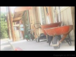 Captura de 'Puritan Video Magazine 27' nº 35