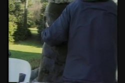 Captura de 'Hairy Honies 3' nº 59