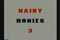 Captura de 'Hairy Honies 3' nº 1