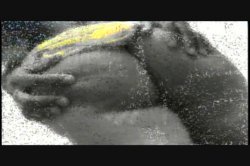 'Booty Talk 29' screenshot nº 8