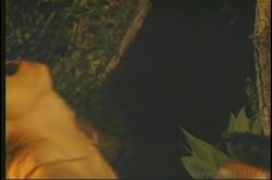 Captura de 'Loads of Peter North' nº 71