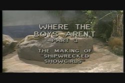 Captura de 'Where the Boys Aren't 3' nº 2
