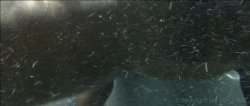 Captura de 'Whole Lotta Azz 3' nº 87