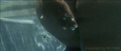 Captura de 'Whole Lotta Azz 3' nº 88
