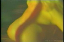 Captura de 'Busty Conquests of Traci Topps' nº 127