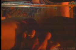 Captura de 'Where the Boys Aren't 4' nº 99
