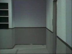 Captura de 'And The Envelope Please: Christy Canyon' nº 32