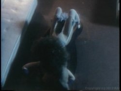 Captura de 'Squalor Motel' nº 32