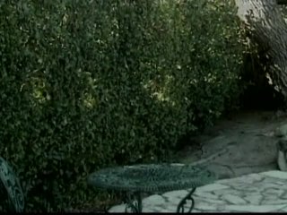 She&#39;s So Blonde #2 - Part 2 - Szene5 - 6