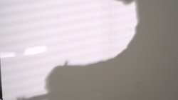 Captura de 'Rocco: Sex Analyst' nº 114