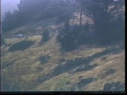 'Moments of Love' screenshot nº 43