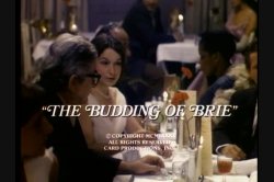 'Budding of Brie' screenshot nº 1