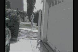 'White Panty Chronicles 8' screenshot nº 8