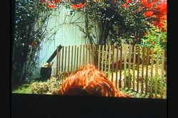 'White Panty Chronicles 8' screenshot nº 107