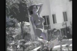 'White Panty Chronicles 8' screenshot nº 108
