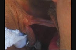 'White Panty Chronicles 8' screenshot nº 124