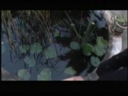 Captura de 'Spanish Sex - Bangin' In Barcelona' nº 113