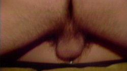'Naughty Neighbors' screenshot nº 42