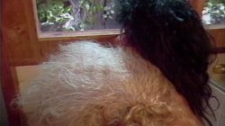 'Naughty Neighbors' screenshot nº 30