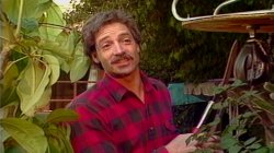'Naughty Neighbors' screenshot nº 3