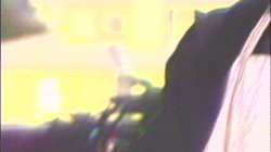 Captura de 'Splendor in the Ass' nº 2
