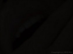Captura de 'Fuckin' Foreigners' nº 62