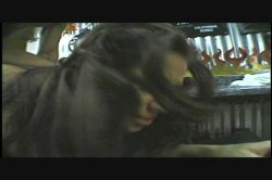 'Latin Assfixiation' screenshot nº 17