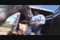 Captura de 'Shane's World 37 - Country Girls' nº 40