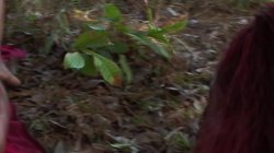 'Mein heiber Sexurlaub' screenshot nº 46