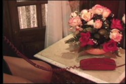 'Pregnant Babes 3' screenshot nº 42
