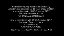 Captura de 'My Brazilian Grandma 3' nº 140
