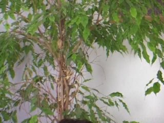 Bi Sexual Bareback Vol. 1 - Scena5 - 1