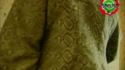 Captura de 'Blond Das Sagt Alles!' nº 44