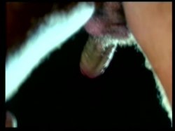Captura de 'Fruchte Der Lust 2 - Verkommene Dienerinnen' nº 24