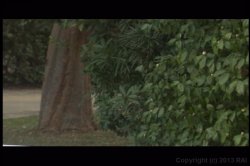 'Lovers Lane' screenshot nº 26