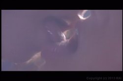 'Lovers Lane' screenshot nº 65