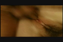 'Mr. Beaver Checks In #10' screenshot nº 32