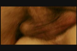 'Mr. Beaver Checks In #10' screenshot nº 109