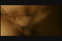 'Mr. Beaver Checks In #10' screenshot nº 117