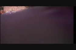 Captura de 'Making Of A Porno Movie, The' nº 3