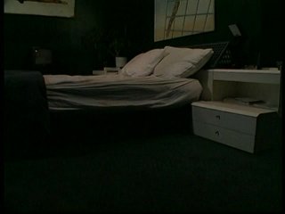 Sexual Indiscretions - Scene2 - 6