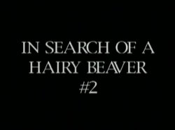 Captura de 'In Search of a Hairy Beaver 2' nº 1