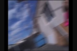 'Obedience School' screenshot nº 5