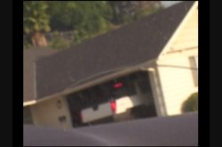 'Obedience School' screenshot nº 56